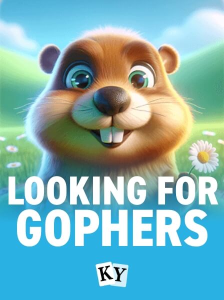 Gophers